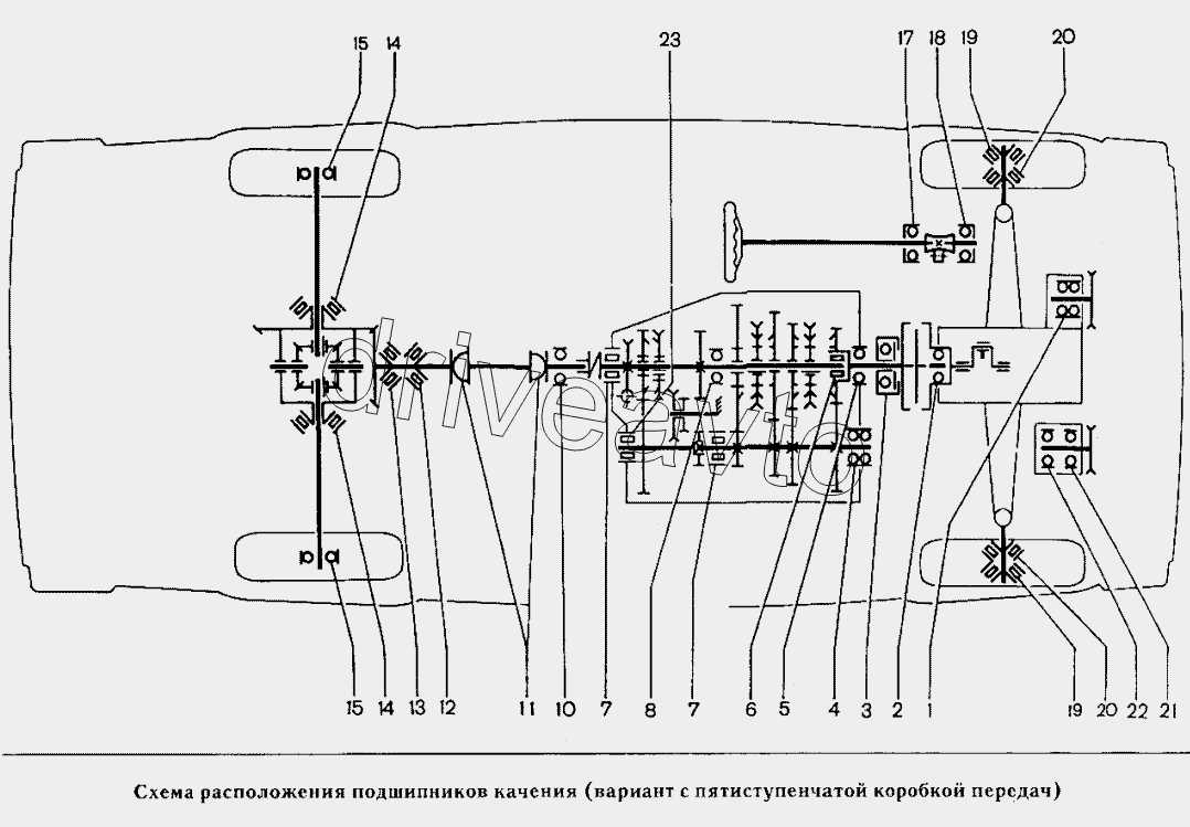 Схема расположения подшипников качения (вариант с пятиступенчатой коробкой передач)